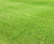 J 4Turf 50 pre-winter overseeding grass seed 0