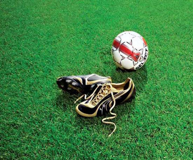 J Multi Sport seed mix for sports fields, cricket and athletics