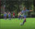 J Multi Sport seed mix for sports fields, cricket and athletics 1