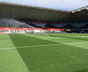 Johnsons seeds used in Liberty Stadium pitch renovations