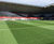 Johnsons seeds used in Liberty Stadium pitch renovations 0