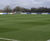 Reading FC switches to J Premier Pitch grass seed 1