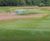 J Roughs grass seed mix for golf rough and dry impoverished soils 3