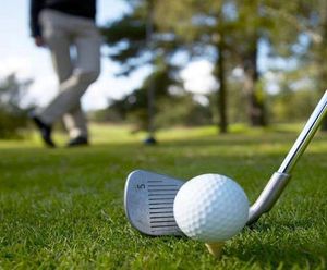 J Fairway for sustainable golf fairways and tees (non-rye)