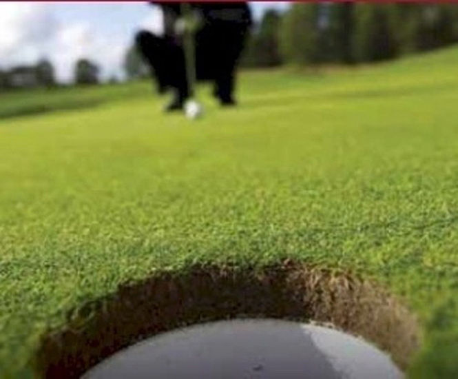J Green grass seed mix for golf and bowling greens