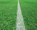 J Rescue Stadia overseeding mix for football and rugby pitches