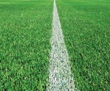 J Rescue Stadia overseeding mix for football and rugby pitches