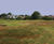 J Roughs grass seed mix for golf rough and dry impoverished soils 1