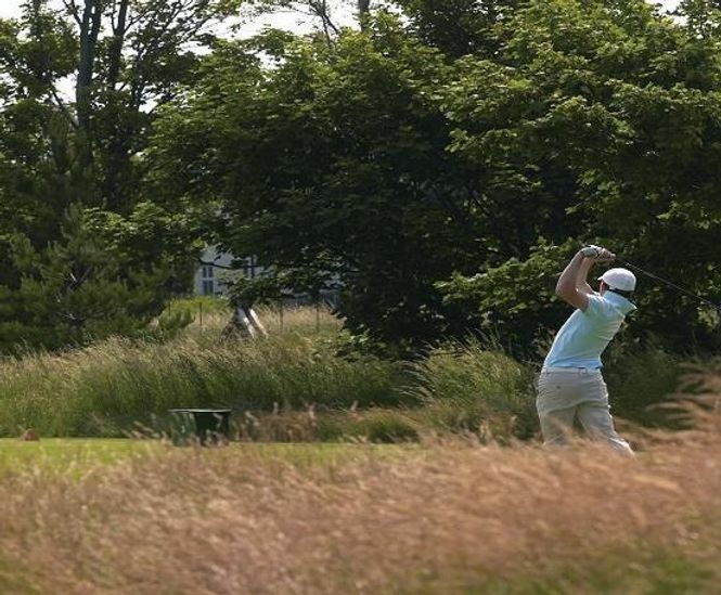 J Roughs grass seed mix for golf rough and dry impoverished soils