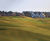 J Roughs grass seed mix for golf rough and dry impoverished soils 4