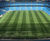 J Premier Pitch grass seed mix for football and rugby pitches 0