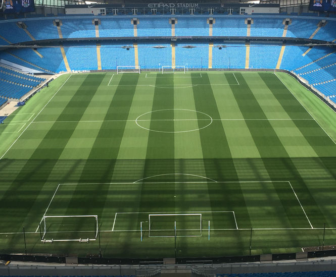 J Premier Pitch grass seed mix for football and rugby pitches