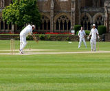 J Premier Wicket mixture for county-quality cricket squares - on this page