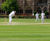 J Premier Wicket mixture for county-quality cricket squares 0
