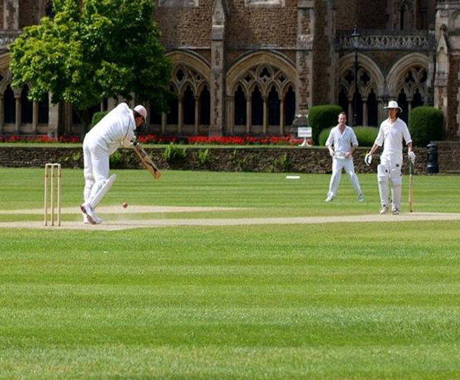 J Premier Wicket mixture for county-quality cricket squares