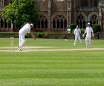J Premier Wicket mixture for county-quality cricket squares