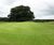 Grass seed for new 9-hole course - Adlington Golf Centre 1