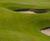 J Links salt-tolerant seed mix for golf greens, tees and fairways 0