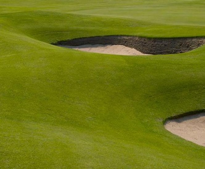 J Links salt-tolerant seed mix for golf greens, tees and fairways