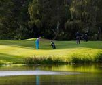 J Premier -  rapid-establishment grass seed mixture for golf tees