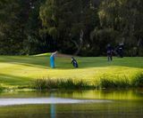 J Premier -  rapid-establishment grass seed mixture for golf tees - on this page