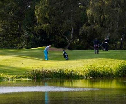 J Premier -  rapid-establishment grass seed mixture for golf tees