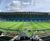 J 4Turf 100 grass seed for sportsfields, golf tees and paths 0