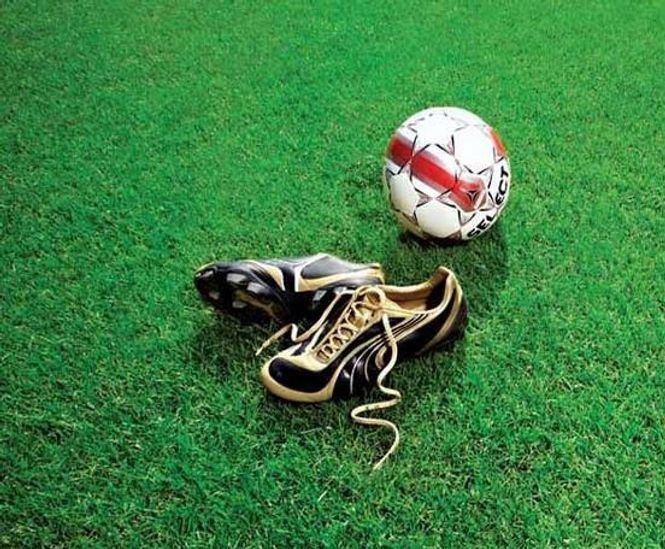 J Nitro Premier Pitch grass seed for sports pitches Johnsons Sports Seed