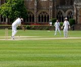 J Nitro Premier Wicket grass seed for cricket wickets - on this page