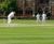 J Nitro Premier Wicket grass seed for cricket wickets 0