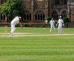 J Nitro Premier Wicket grass seed for cricket wickets