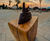 Denny Treasure Trail sculpture series 5