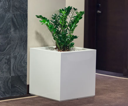 Fibreglass Cube Planter