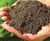 Ericaceous high-performance, low pH, lime-free topsoil 1