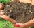 Extensive Green Roof Substrate - lightweight compost blend for sedum roofs 1