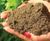 Urban Tree Soil - sand and compost blend for urban tree planting 1