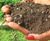 Intensive Green Roof Substrate - lightweight soil for roof gardens 2