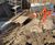 Waste management, muckaway and removal 1