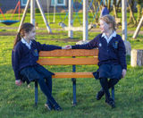 100% Recycled Plastic School Buddy Seat - on this page
