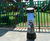 Audionetic inclusive, interactive sound post for play areas 6