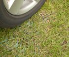 SUREGREEN GR11 and GR14 grass reinforcement mesh