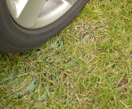 SUREGREEN GR11 and GR14 grass reinforcement mesh