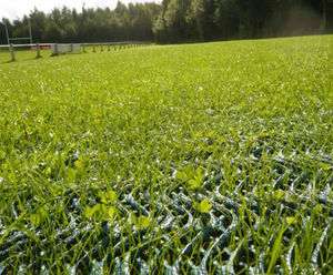GR14 mesh reinforces sports field grassed car parks