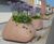Coast Planter - sculptural organic concrete street planter 0