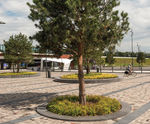 Architectural concrete tree surrounds, Dronten Station