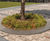 Architectural concrete tree surrounds, Dronten Station 5