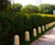 Bollard Fino -  architectural round concrete bollard 1