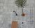 Paving, tree grates and planters for Eislinger Tor Hotel 2