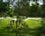 Custom benches revitalise park space, Versailles (F) 7