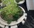 Bench Paris 2 - circular concrete planter seating and table 3